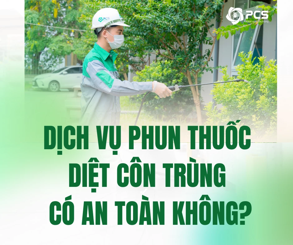 Dịch vụ phun thuốc diệt côn trùng có an toàn không?
