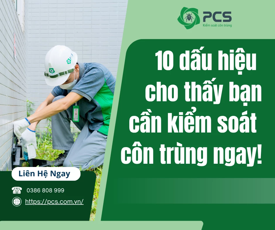 10 dấu hiệu cho thấy bạn cần kiểm soát côn trùng ngay
