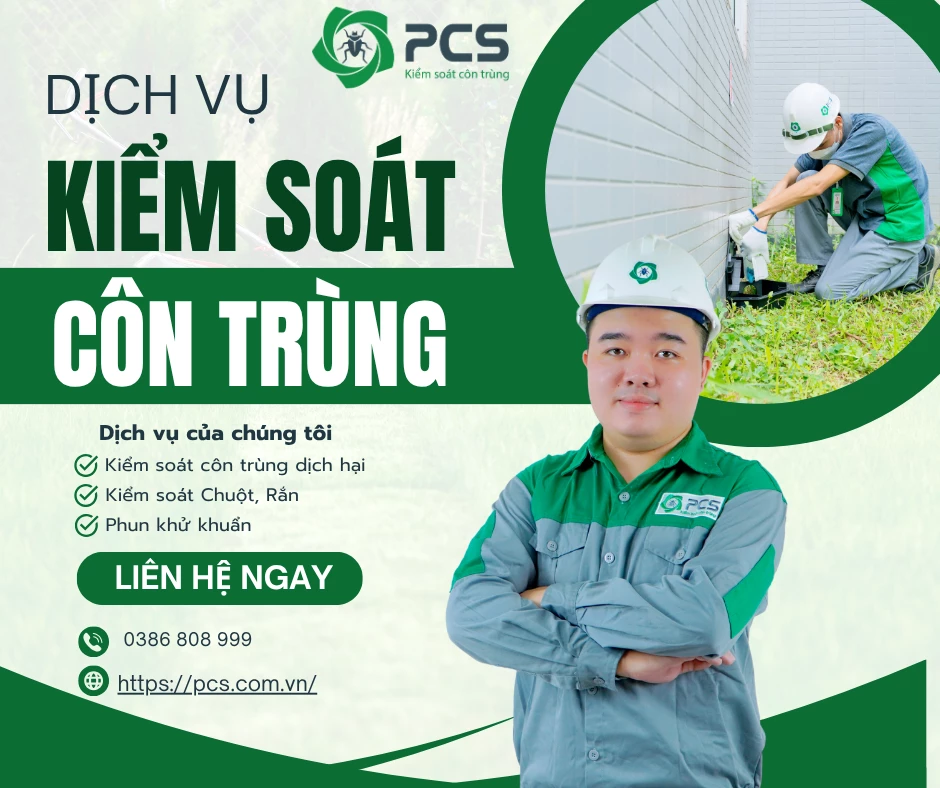 Công ty kiểm soát côn trùng uy tín: Giải pháp bảo vệ sức khỏe và môi trường từ PCS